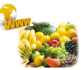 消費者轉向網絡獲取安全食品信息搜索營銷平臺助力企業低成本營銷