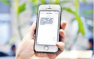 短信營銷 超越群發的智慧之道